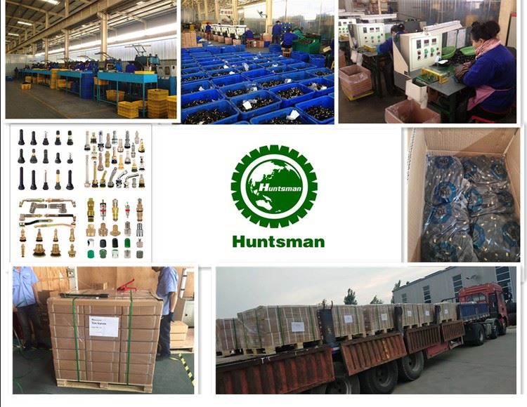 Metal Tire Valve for Truck